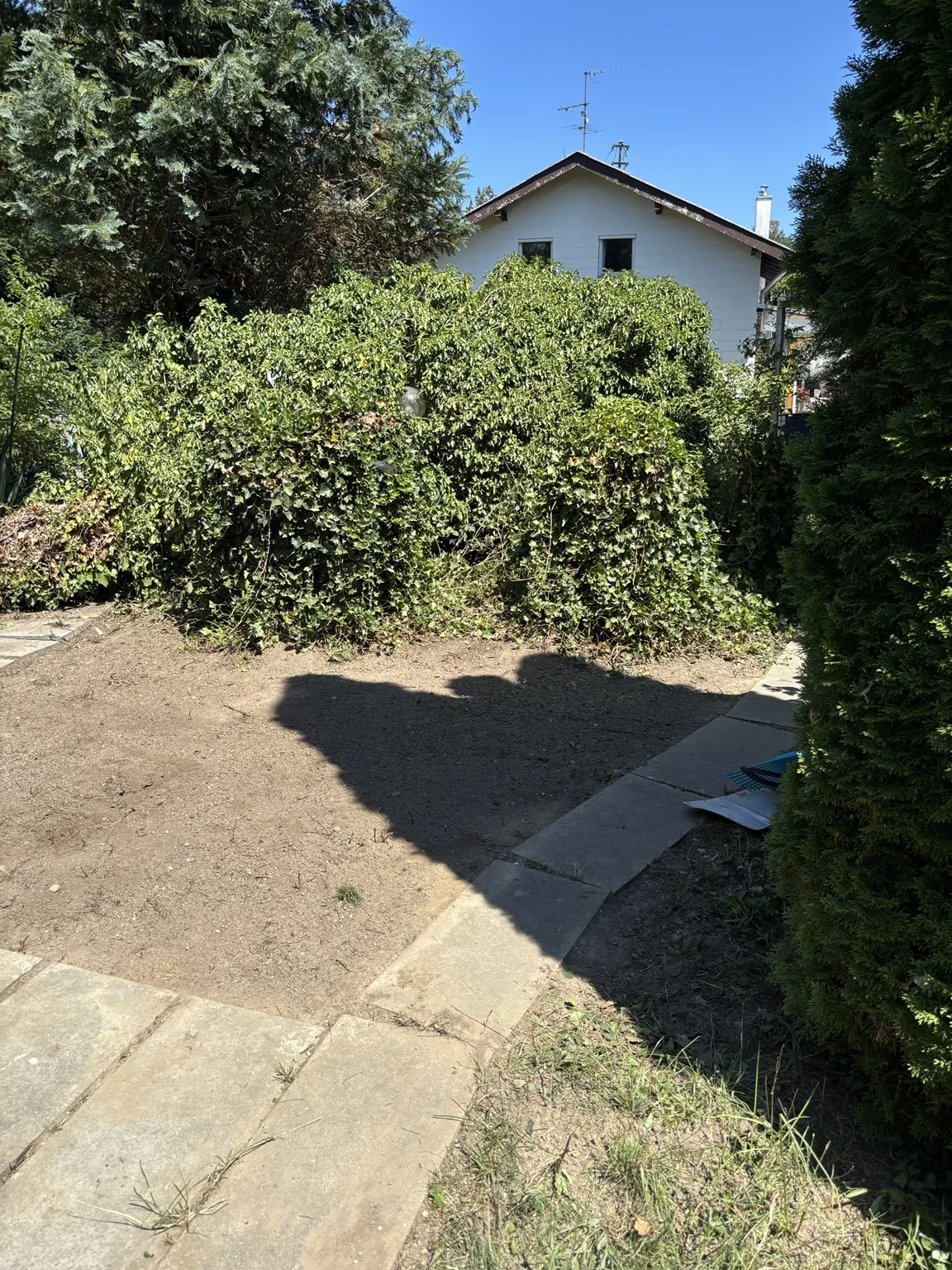 Nachher: freigelegte und gepflegte Gartenfläche