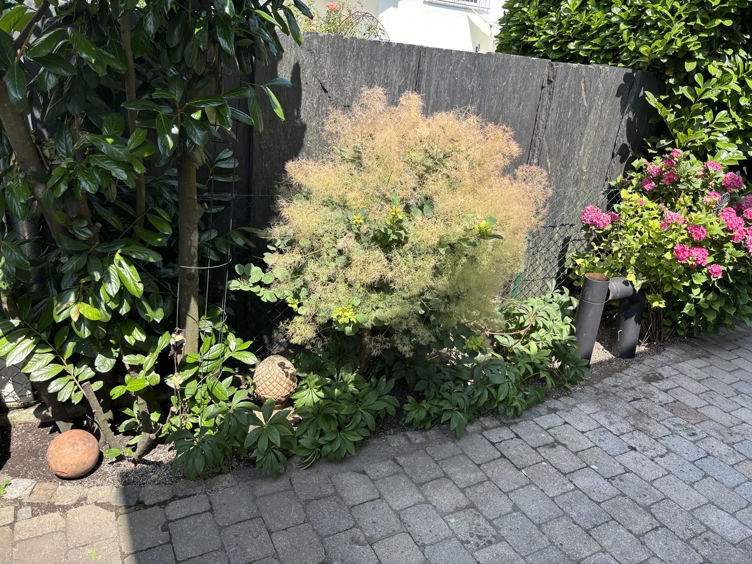 Nachher: gepflegtes Beet