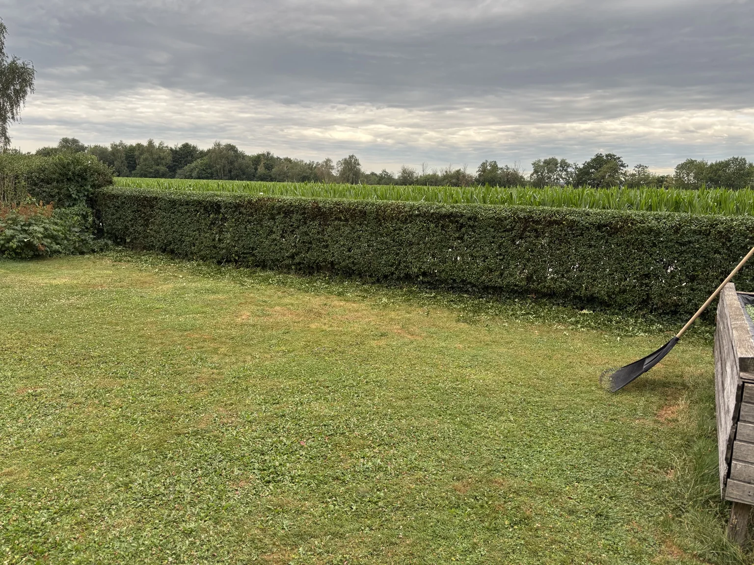 Gepflegter Garten und geschnittene Hecke